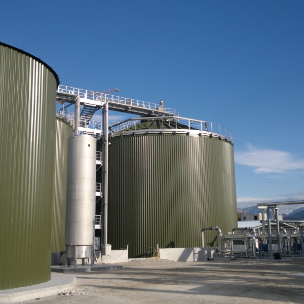 Βερδικούσια Λάρισα