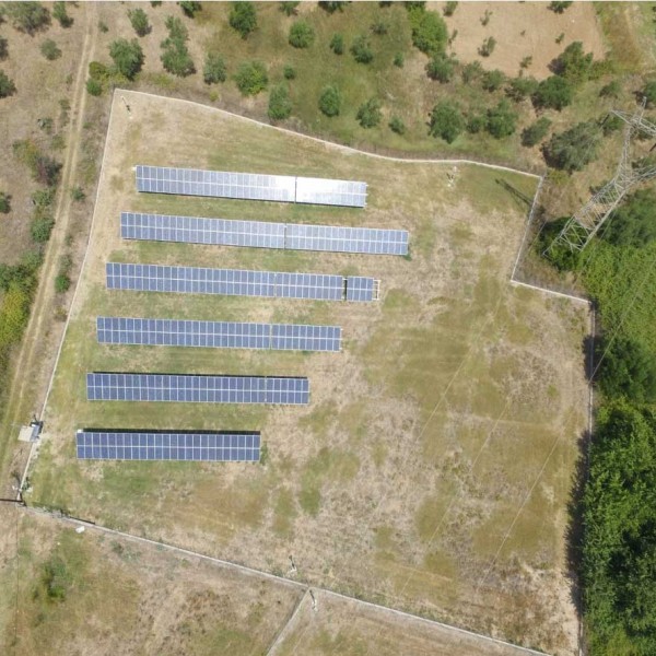 Ελαιώνας Πύργος Ηλεία