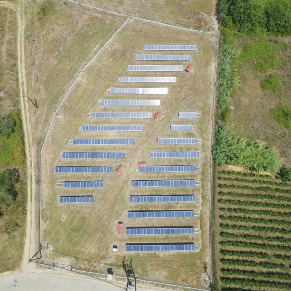 Ελαιώνας Πύργος Ηλεία