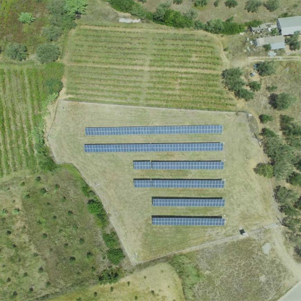 Ελαιώνας Πύργος Ηλεία