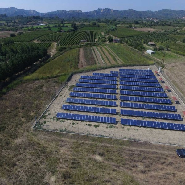 Ελαιώνας Πύργος Ηλεία