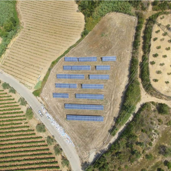 Ελαιώνας Πύργος Ηλεία