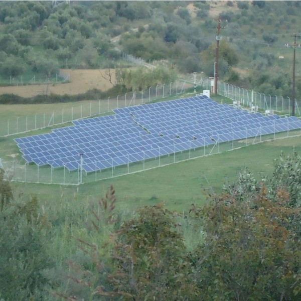 Ελαιώνας Πύργος Ηλεία