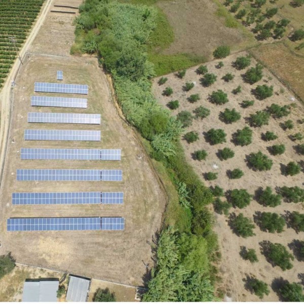 Ελαιώνας Πύργος Ηλεία